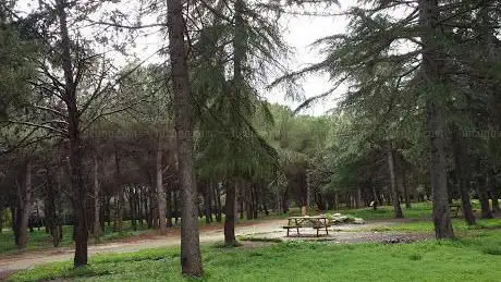 Photo de Picnic Area / Favorita Park