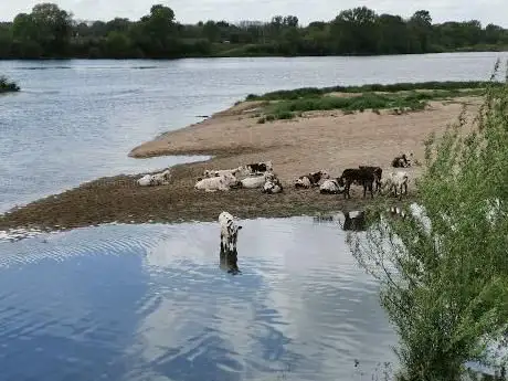 Photo de La Tronne