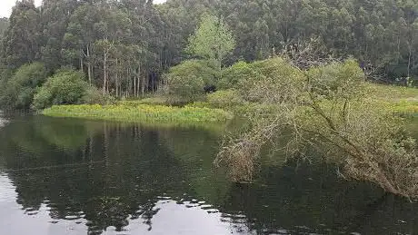 Photo de Observatorio de aves A Choza