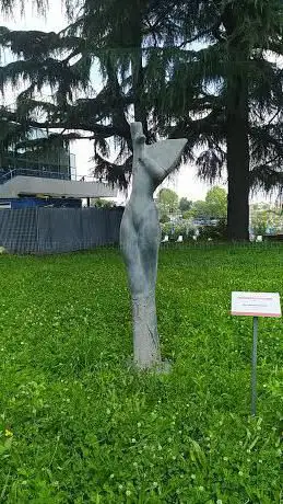 Margherita Terranera