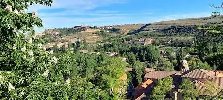Photo de Miguel Delibes. Huerto de las palabras y de los cerezos Garden