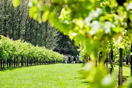 Llanerch Vineyard Tours & Tastings