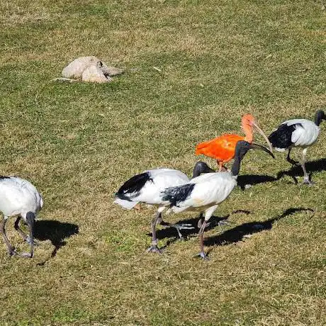 Photo de Aviario