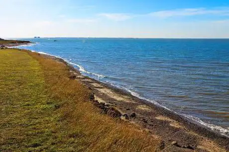 Photo de Cudmore Grove