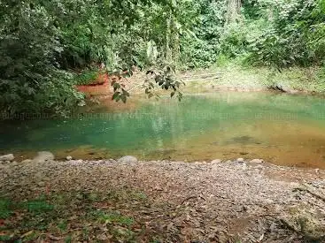 Ti Doum