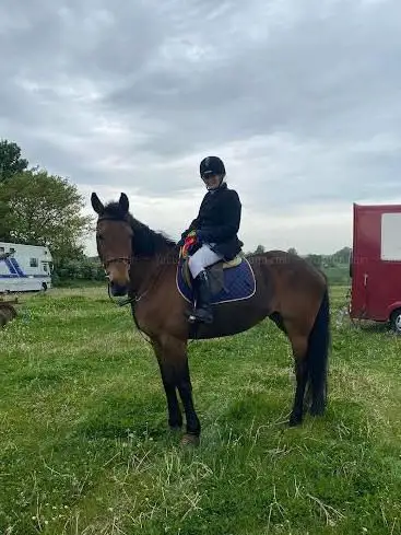 Photo de Brampton Equestrian