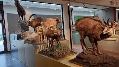 Photo de Bündner Naturmuseum