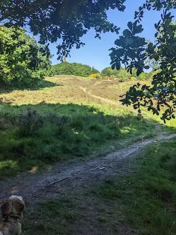 Photo de Kersal Moor Local Nature Reserve
