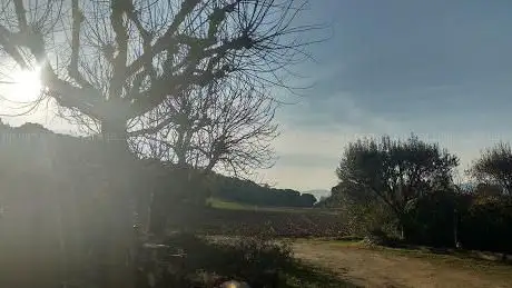 Photo de MolÃ­ de Can Bas