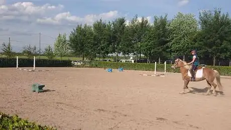 Horse Passion A.s.d.