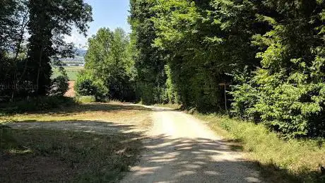 Waldplatz Berg