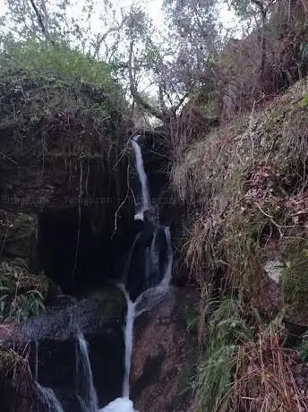 Fervenza dos coellos