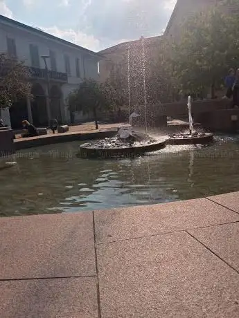 Photo de Fontana delle Tartarughe