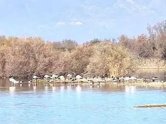 Photo de Aguait de Les Gantes