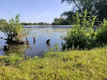 Etangs du Romelaëre
