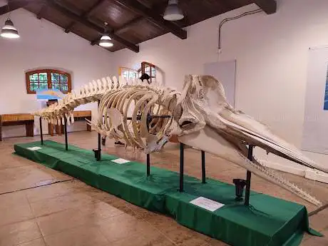 Museo del Mare e delle tradizioni marinaresche