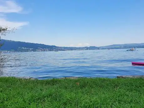 Badi Buonas