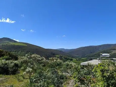 Pedroselo
