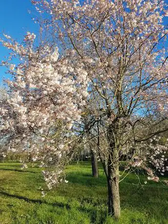 Arboreto del Pilastro via del Pilastro (BO)