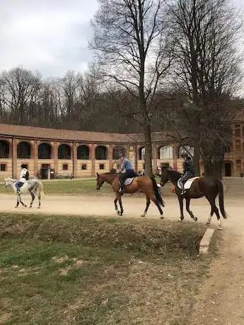Horse Center