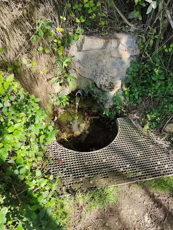 Photo de Font Cal Mota