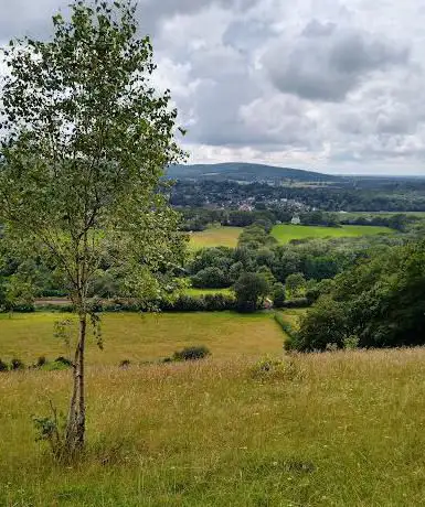 Photo de Steers Field