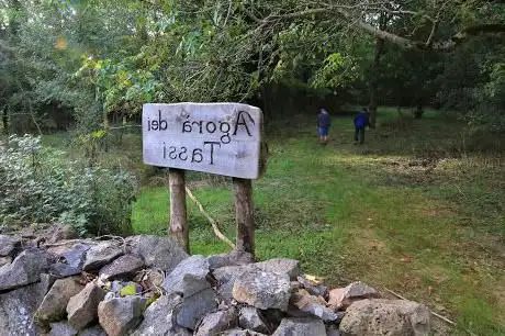 Agora dei tassi