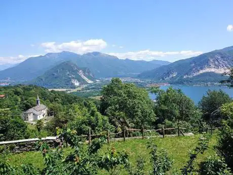 Tasso di Cavandone