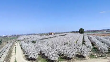 Photo de La Femosa
