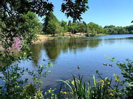 Obelisk pond