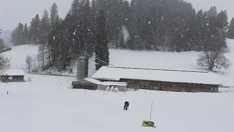 Photo de Skilift Genossenschaft Heiligenschwendi ob Thun