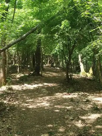 Ingresso Sherwood Bosco di Gattaceca