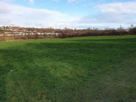 Dalton Field