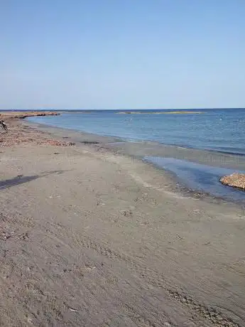 Photo de Punta de las Algas