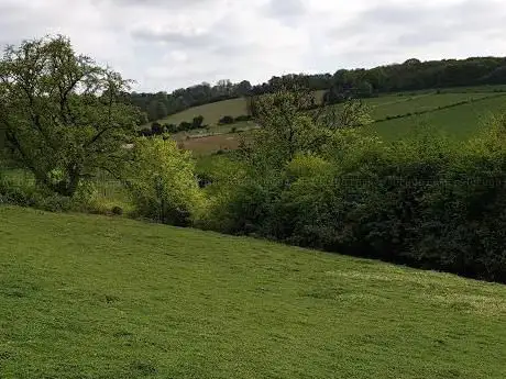 Photo de Queendown Warren Nature Reserve