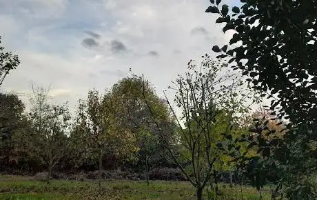 Photo de Mansfield Woodhouse Millennium Green