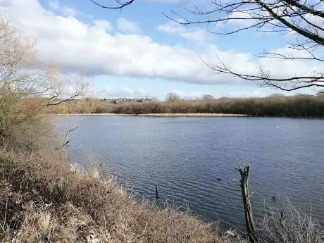 Photo de Catcliffe Flash Nature Reserve
