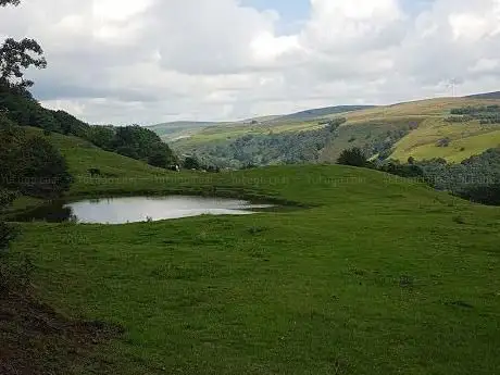 Ashenhurst Pond