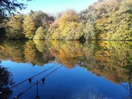 Bradford Pool