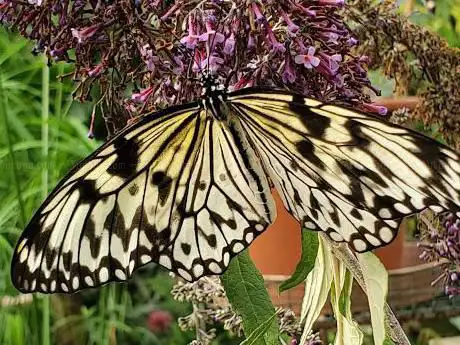 Photo de JardÃ­n de las Mariposas