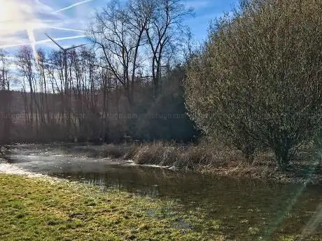 Weiher