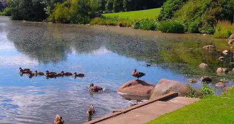 Photo de Keptie Pond