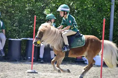 Photo de Riding Club La Rondinella