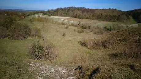 Photo de Hexton Chalk Pit