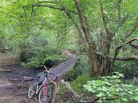 Shotover Mountain Bike Trails