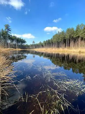 Kwarekkenven