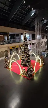De Kerstboomspecialist