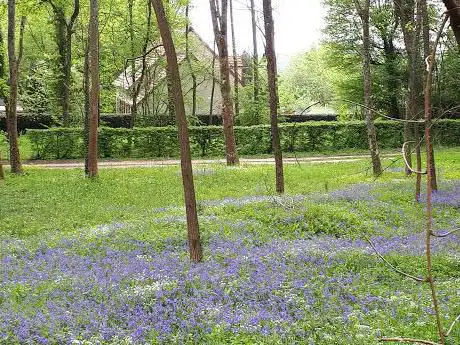 Photo de Bois de la Barre