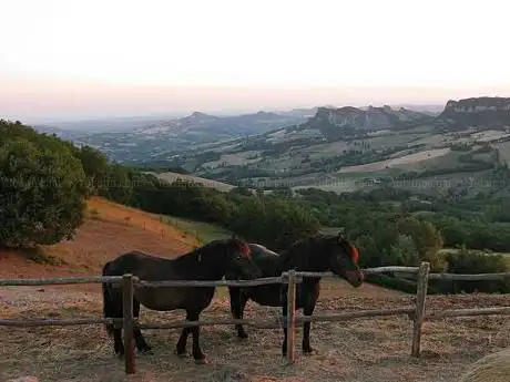Photo de Bardigiani del San Bartolo