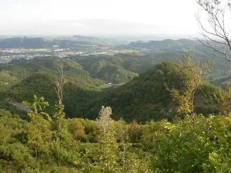 Sentiero Naturalistico del Boschetto